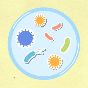 Infection Control Fundamentals