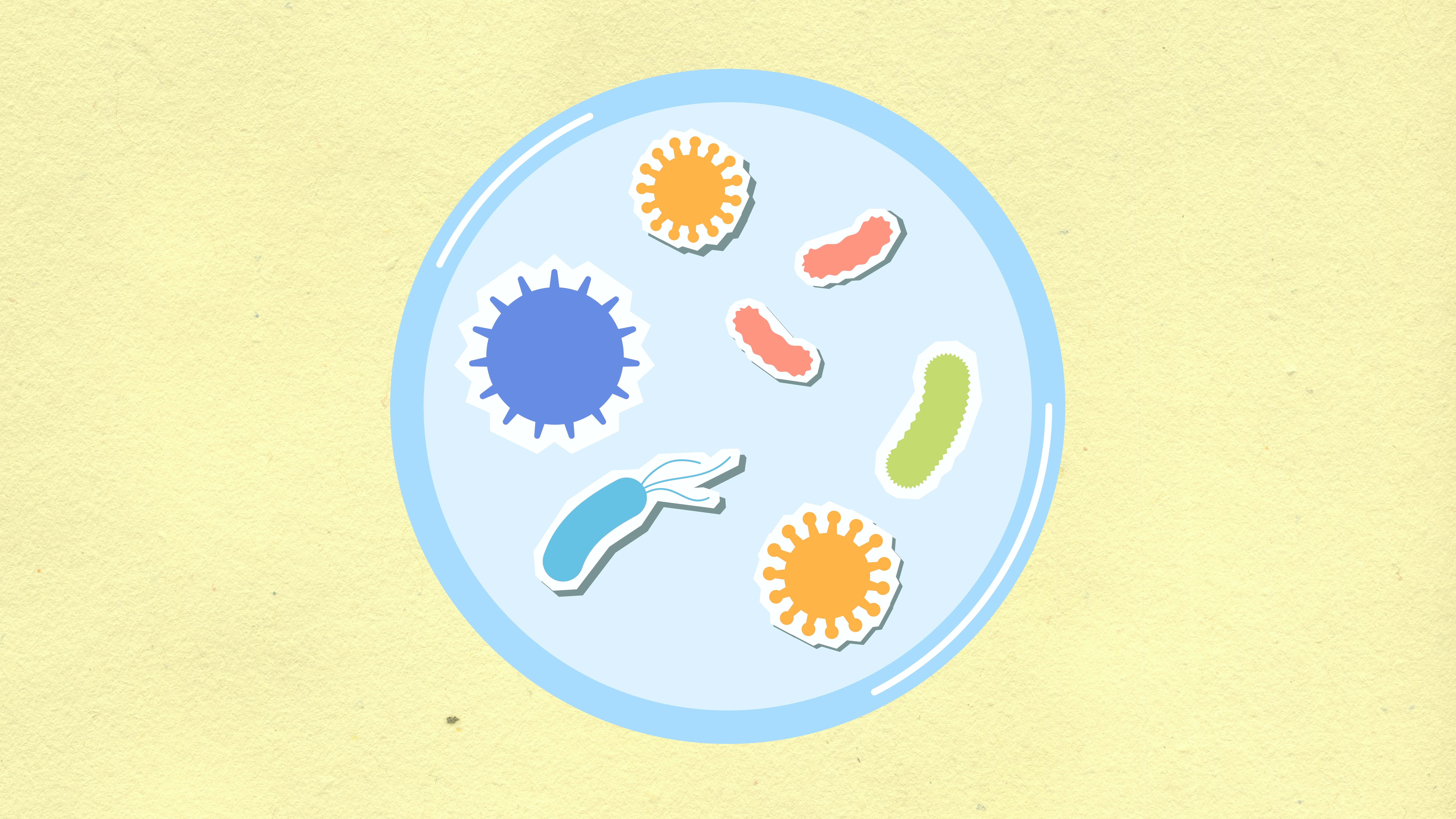 facility management infection control